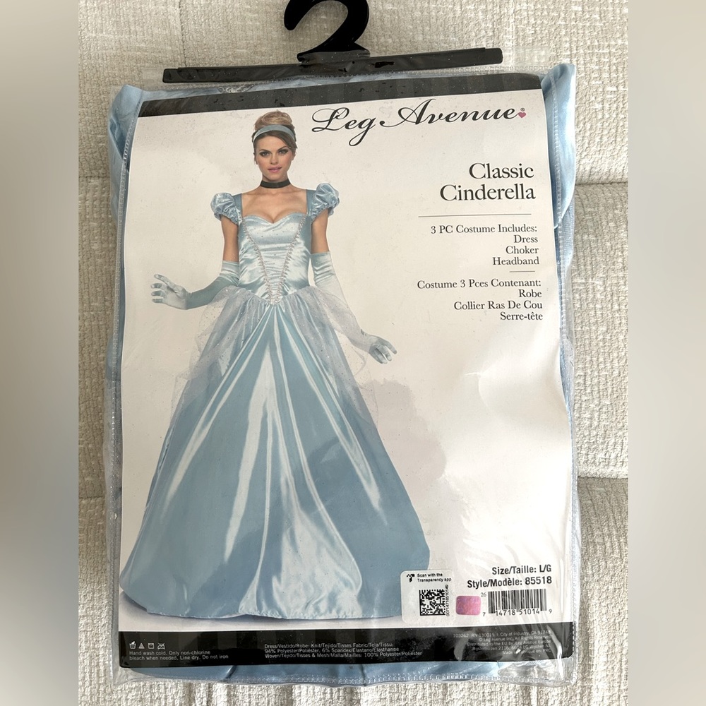 Cinderella women’s costume